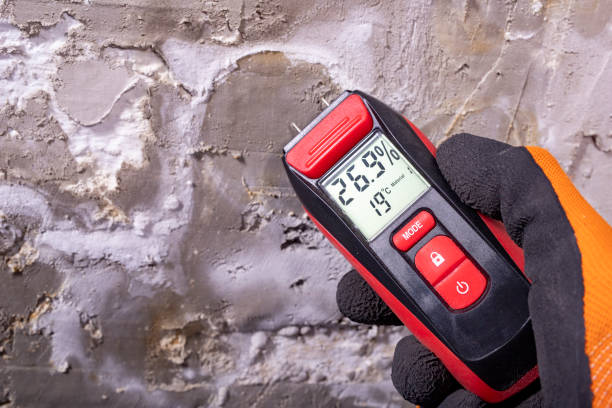 Best Affordable Mold Removal  in Nibley, UT