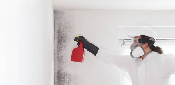 Water Damage Restoration in Nibley, UT